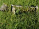 image of grave number 958711